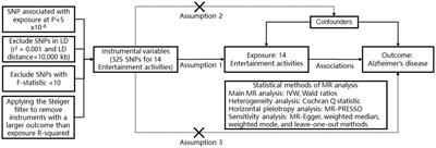 Entertainment activities and the risk of Alzheimer’s disease: a Mendelian randomization analysis